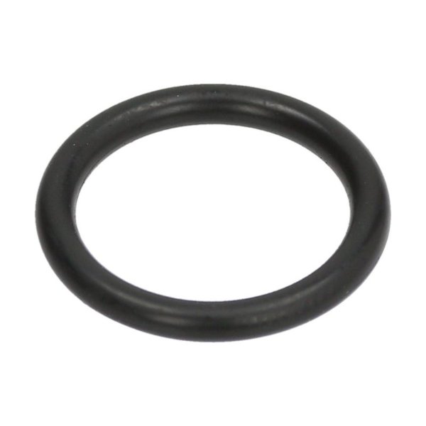 Уплотнительное кольцо M 0130-20 EPDM SAECO12000620